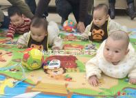 胚胎移植窗口期檢查多少錢答案在這，附era檢測費用快收藏