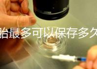 胚胎最多可以保存多久？25年凍胚成功懷孕并產(chǎn)下
