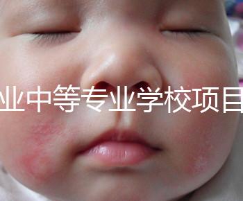 職業(yè)中等專業(yè)學校項目(中等職業(yè)學校專業(yè)建設規(guī)劃實施方案)