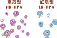芫荽的功效（芫荽的功效與作用）