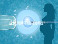 自然周期不能隨意取卵！滿足3點要求才能順利進行