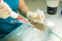 自然周期怎么調內膜？臨床常用的3步流程曝光