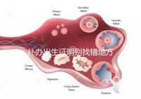 補(bǔ)辦出生證明別找錯(cuò)地方，備齊資料到這些部門辦理不白跑！