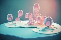 試管移植懷孕2個月后，還能不能吃酸筍田螺？