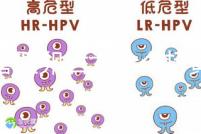 試管取卵后為什么打黃體酮？3大作用的目的都殊途同歸