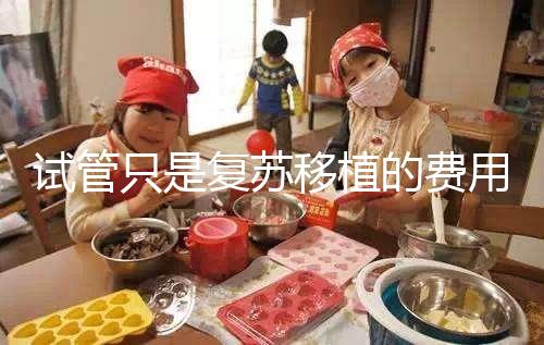 試管只是復蘇移植的費用并不高，看這就知道大概多少錢