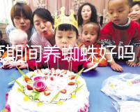 試管期間養蜘蛛好嗎？人們告訴你，這些影響應該早知道