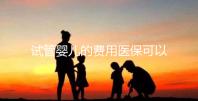 試管嬰兒的費(fèi)用醫(yī)保可以報(bào)銷嗎（試管嬰兒的費(fèi)用醫(yī)保可以報(bào)銷嗎多少錢）