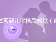 試管嬰兒移植后感覺（試管嬰兒移植后感覺下面好濕）