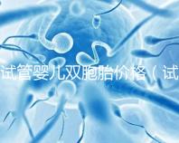 試管嬰兒雙胞胎價格（試管嬰兒雙胞胎價格一樣嗎）