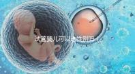 試管嬰兒可以選性別嗎（試管嬰兒可以選性別嗎？）