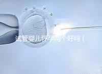 試管嬰兒懷孕兩個好嗎（試管放一個還是兩個好）