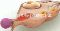 試管嬰兒有什么缺陷（試管嬰兒有什么缺陷和風險）