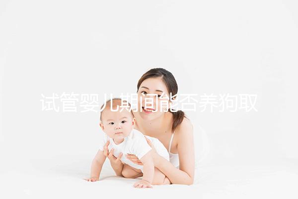 試管嬰兒期間能否養狗取決于情況，醫生：確保安全是前提