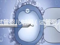 試管嬰兒時(shí)間（試管嬰兒時(shí)間需要多久）