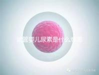 試管嬰兒尿素是什么意思（試管嬰兒尿素是什么意思啊）