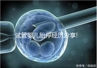 試管嬰兒胎停經歷分享!3個小經驗讓你輕松告別胚胎停止發育