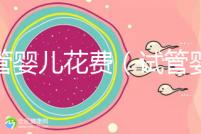 試管嬰兒花費（試管嬰兒花費多少錢？）