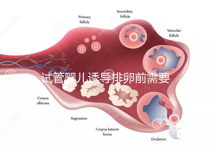 試管嬰兒誘導(dǎo)排卵前需要做哪些準備工作？