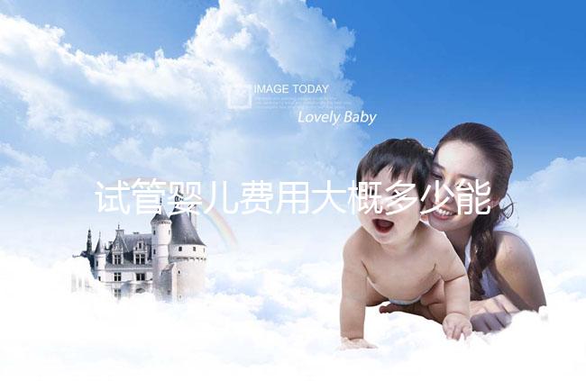 試管嬰兒費用大概多少能出來(試管嬰兒費用大概多少能出來報銷)