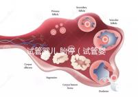 試管嬰兒 胎停（試管嬰兒胎停是什么原因引起的）