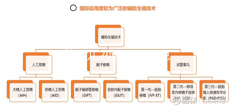 試管嬰兒2促3移，說說5點我的成功懷孕經(jīng)驗