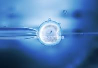 詳訴未婚懷孕女方堅持生下來會怎樣，影響上戶別不知道