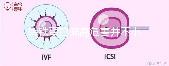 轉(zhuǎn)鐵蛋白偏高危害并不小!可能會(huì)引發(fā)這幾類(lèi)疾病