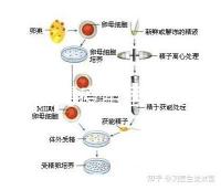 輪狀病毒疫苗雖非終身免疫，寶寶接種的好處不止一點