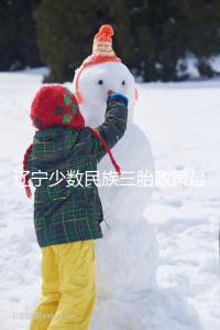 遼寧少數民族三胎政策最新消息來臨，沈陽、大連補助不一樣