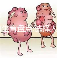 輔助生育盤(pán)點(diǎn):選擇人工授精(IUI)還是試管嬰兒(IVF)