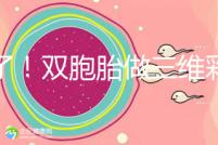 賺了！雙胞胎做三維彩超檢查報(bào)告不僅準(zhǔn)確，還拒絕雙收費(fèi)