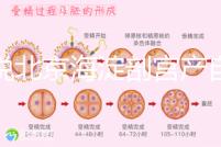 誰說北京海淀剖宮產自付費用高，了解2024年生育保險報銷比例？