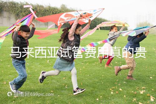 馬來西亞試管費用真的貴么？同善醫院價格說明