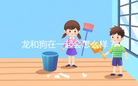 龍和狗在一起會怎么樣？相沖可以這樣解決