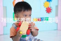 7細胞胚養囊成功率高嗎？聽聽做過試管的姐妹怎么說