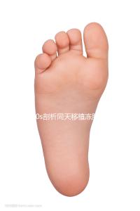 60s剖析同天移植凍胚為什么別人驗(yàn)孕棒兩道杠明顯，趕快get