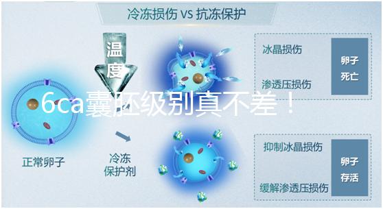 6ca囊胚級別真不差!嘗試移植才有機會,有信心才能“好孕”