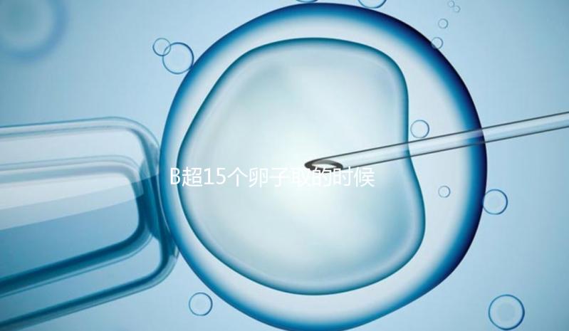 B超15個(gè)卵子取的時(shí)候只取了8個(gè)有原因的卵子,看起來不正常很清楚