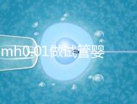 amh0.01做試管嬰兒有成功的嗎？有無卵子才是好孕關鍵