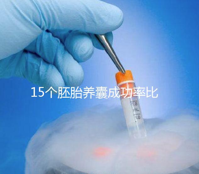 15個胚胎養囊成功率比想象高,只成了1個不正常要警惕