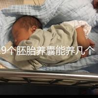 19個胚胎養囊能養幾個真難說，質量好都成功了也屬正常