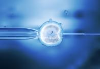 16個胚胎養囊成功幾個說不準，11個概率高不高真不一定