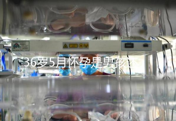 36歲5月懷孕是男孩還是女孩？這些生男生女特征可以看看