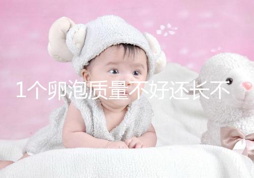 1個卵泡質量不好還長不大，如何提高試管嬰兒懷孕成功率？