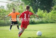 2024年丹東月子中心收費(fèi)標(biāo)準(zhǔn)，能否接生問(wèn)題整理，想要制作的戳