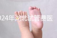 2024年湖北試管費醫療保險可以報銷？專家：時間還沒到？