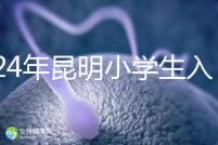 2024年昆明小學生入學政策出臺，五華區年齡限制重點