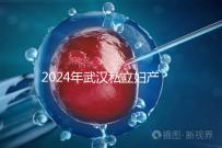2024年武漢私立婦產(chǎn)醫(yī)院排名前十，江漢區(qū)人流良好