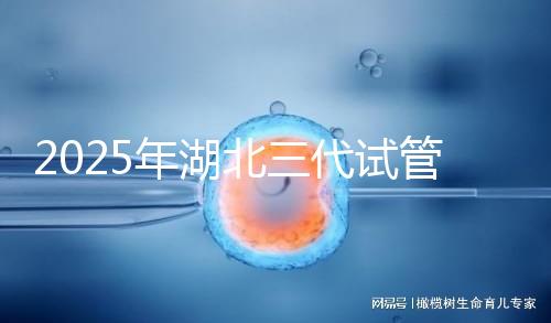 2025年湖北三代試管嬰兒費(fèi)用明細(xì)一覽 附價(jià)格清單!